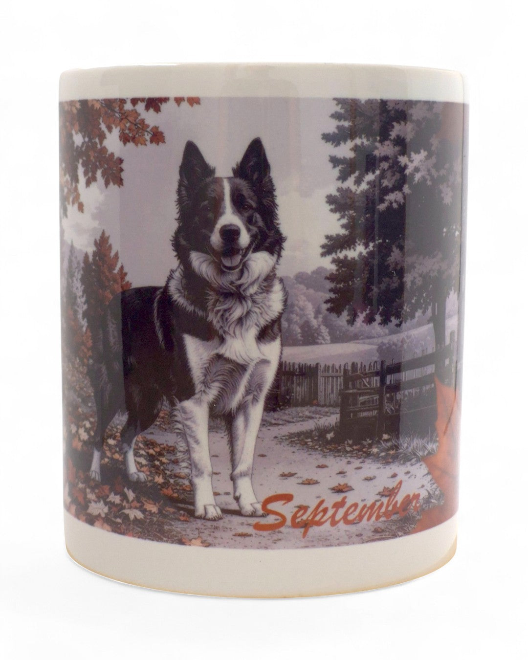 Border collie "limitált szeptember" prémium bögre díszdobozban – 330 ml