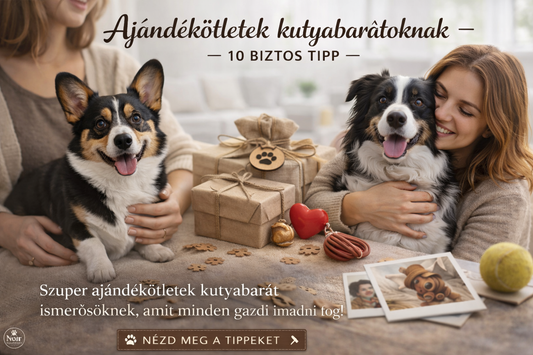 🐾 Ajándékötletek kutyabarátoknak – 10 biztos tipp